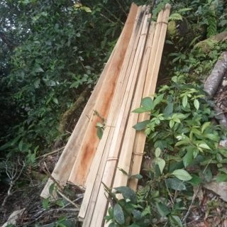 Hutan Di Desa Parluasan Kecamatan Parbuluan Dairi,Di Rambah Tanpa Izin