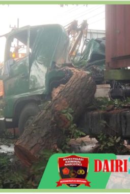 Supir Truk Trailer Tewas Tertimpa Pohon Tumbang di Jalinsum Tebing Tinggi