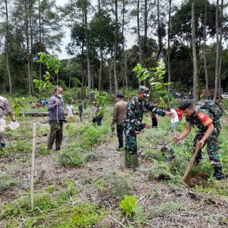 Bersama Dinas Lingkungan hidup personil Koramil 01 Sumbul Laksanakan penghijauan