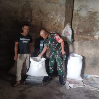 Cek Stok Gabah dan Beras, Babinsa Koramil 01 Sumbul Kodim 0206 Dairi Sambangi Kilang Padi Milik Warga