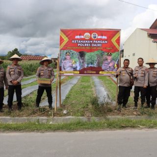 Upaya Pengendalian Laju Inflasi Nasional, Polres Dairi gelar Penanaman Cabai Merah