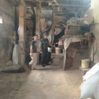 Babinsa Koramil 01 Sumbul Sambangi Kilang Padi Cek Ketersedian Stok Gabah Dan Beras