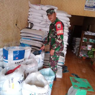 Babinsa Koramil 01 Sumbul Datangi Kios Pupuk Cek Ketersediaan Pupuk Bersubsidi