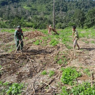 Babinsa Koramil 05 Tanah Pinem Bantu Warga Binaan Membuka Lahan Pertanian