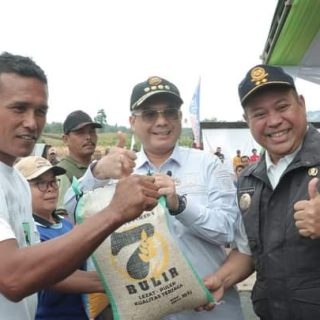Wamentan Bersama Bupati Dairi Tanam Sorgum Dan Panen Jagung Di Kawasan Pertanian Terpadu Tigalingga