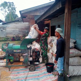 Dukung Ketahanan Pangan Babinsa Koramil 01 Sumbuk Bantu Warga Menggiling Jagung