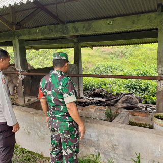 Antisipasi Penyakit Mulut Dan Kuku ,Babinsa Koramil 07 Salak,Bersama Bhabinkamtibmas Cek Ternak Warga