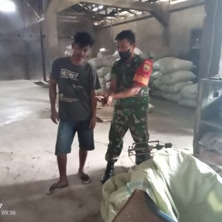 Cek Stok Gabah dan Beras, Babinsa Koramil 01 Sumbul Sambangi Kilang Padi