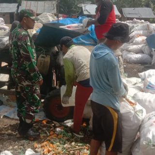 Wujudkan Ketahanan Pangan,Babinsa Dampingi Petani Perontokan Jagung