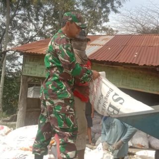Mewujudkan Ketahanan Pangan Babinsa Kiramil 05 Tanah Pinem Dampingi Perontokan Jagung.