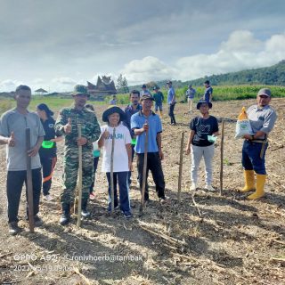 Jaga Ketahanan Pangan, Babinsa Koramil 07 Salak Bantu Penanaman Perdana Bibit Jagung P23
