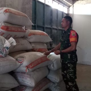 Pastikan Stok Gabah dan Beras, Babinsa Koramil 01 Sumbul Sambangi Kilang Padi