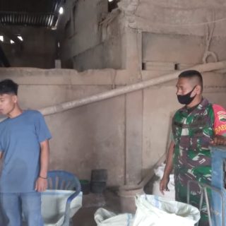 Pastikan Stok Gabah dan Beras, Babinsa Koramil 01 Sumbul Sambangi Kilang Padi