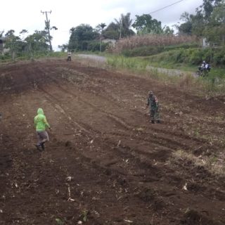 Koramil 01 Sumbul  Siapkan Lahan Demplot  Untuk Ketahanan Pangan