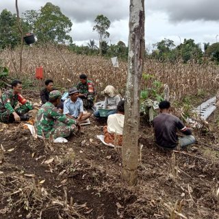 Personil Koramil 03 Parongil Bersama Masyarakat Melaksanakan Persiapan Ketahanan Pangan 