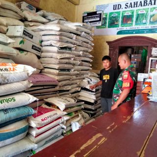 Babinsa Koramil 01 Sumbul, Cek Ketersediaan Pupuk Bersubsidi