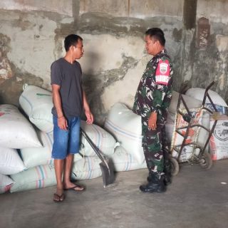 Pastikan Stok Gabah dan Beras, Babinsa Koramil 01 Sumbul Kodim 0206 Dairi Sambangi Kilang Padi