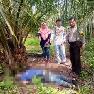 Seorang Pria Lanjut Usia Di Temukan Tewas Telungkup Di Kebun Sawit 