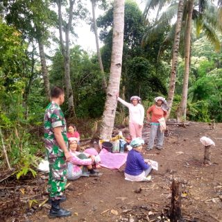 Memperdayakan Hanpangan, Babinsa Koramil 05/Tanah Pinem Dampingi Petani di Desa Binaannya.