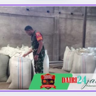 Pastikan Stok Gabah dan Beras, Babinsa Koramil 01/ Sumbul Sambangi Kilang Padi