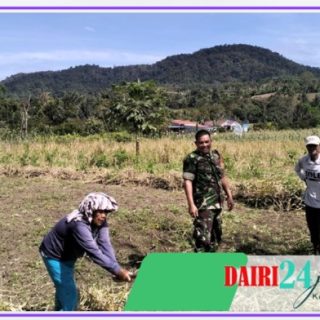 Babins Koramil 07/ Salak Komsos Dengan Petani di Desa Binaan