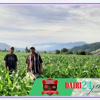 Berdayakan Hanpang Babinsa Koramil 05/ TP Bantu Warga Binaan Memupuk Jagung