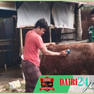 Babinsa Koramil 05/ Tanah Pinem Beri Motivasi Kepada Warga Peternak Sapi Desa Liang Jering