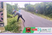 Oplus_131072