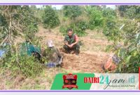 Oplus_131072