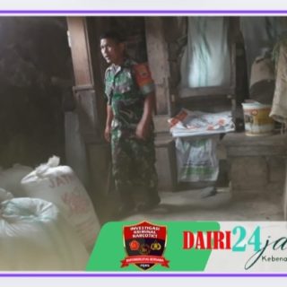 Pastikan Stok Gabah dan Beras, Babinsa Koramil 01/ Sumbul Sambangi Kilang Padi