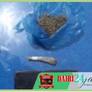 Sat Narkoba Polres Dairi Ringkus Pria Atas Kepemilikan Ganja