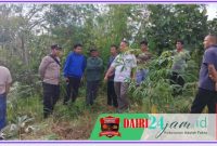 Oplus_131072
