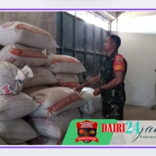 Pastikan Stok Gabah dan Beras, Babinsa Koramil 01 Sumbul Sambangi Kilang Padi