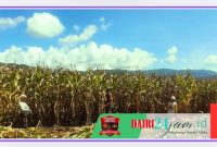 Oplus_131072