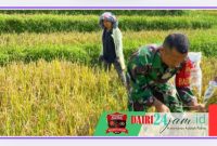 Oplus_131072