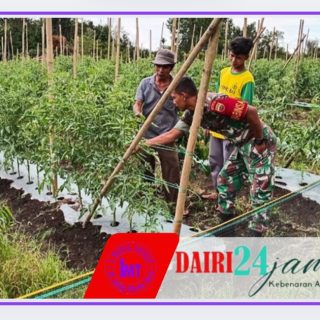 Serda Andianto Komsos Bersama Petani Tomat Di Desa Sinar Pagi 