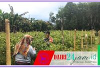 Oplus_131072