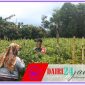 Oplus_131072