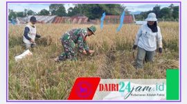 Oplus_131072