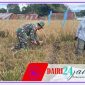Oplus_131072