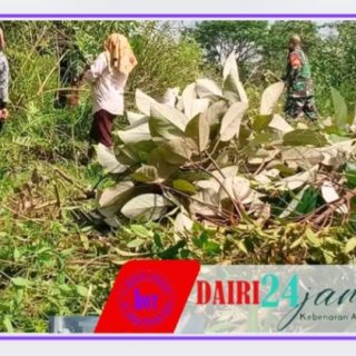 Babinsa Koramil 01/Sumbul Bersama Warga Lakukan Pembersihan Jalan Usaha Tani
