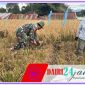 Oplus_131072