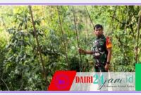 Oplus_131072
