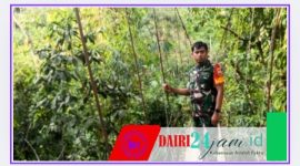 Oplus_131072