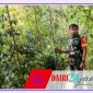 Oplus_131072
