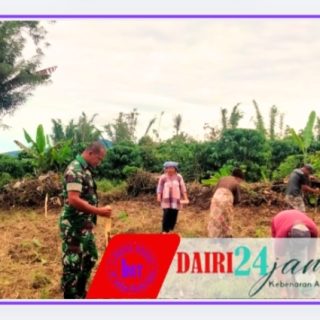 Tingkatkan Produksi Pertanian, Babinsa Dampingi Petani Tanam Jagung