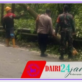 Sigap, Babinsa Koramil 01/Sumbul Bersama Polsek Sumbul dan Petugas PLN Evakuasi Pohon Tumbung