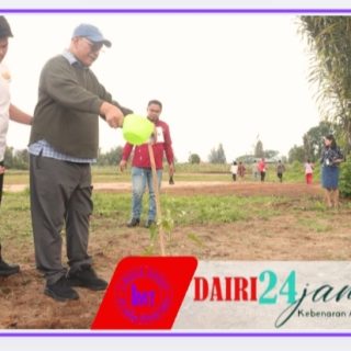 Dukung Program Gerakan Indonesia ASRI, Bupati Dairi Tanam Pohon di SMP Negeri 4 Sidikalang