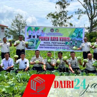 Panen Raya Kubis 2026, Langkah Nyata Rutan Sidikalang Jaga Ketahanan Pangan