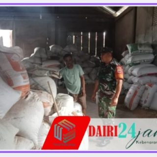 Cek Stok Gabah, Babinsa Koptu Boslan Padang Aktif Sambangi Kilang Padi